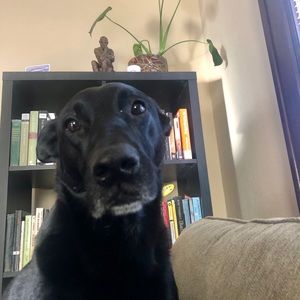 Meet your Posher, Michaela